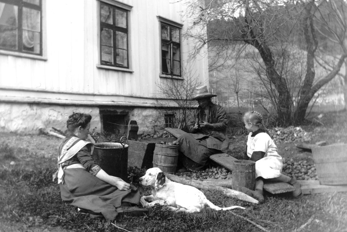 Ole Hansen Løken, LØKEN ØSTRE, 3 UKJENTE KVINNER, BARN, HUND, SKRELLING AV POTETER, TREBUTTER, GRYTE.
