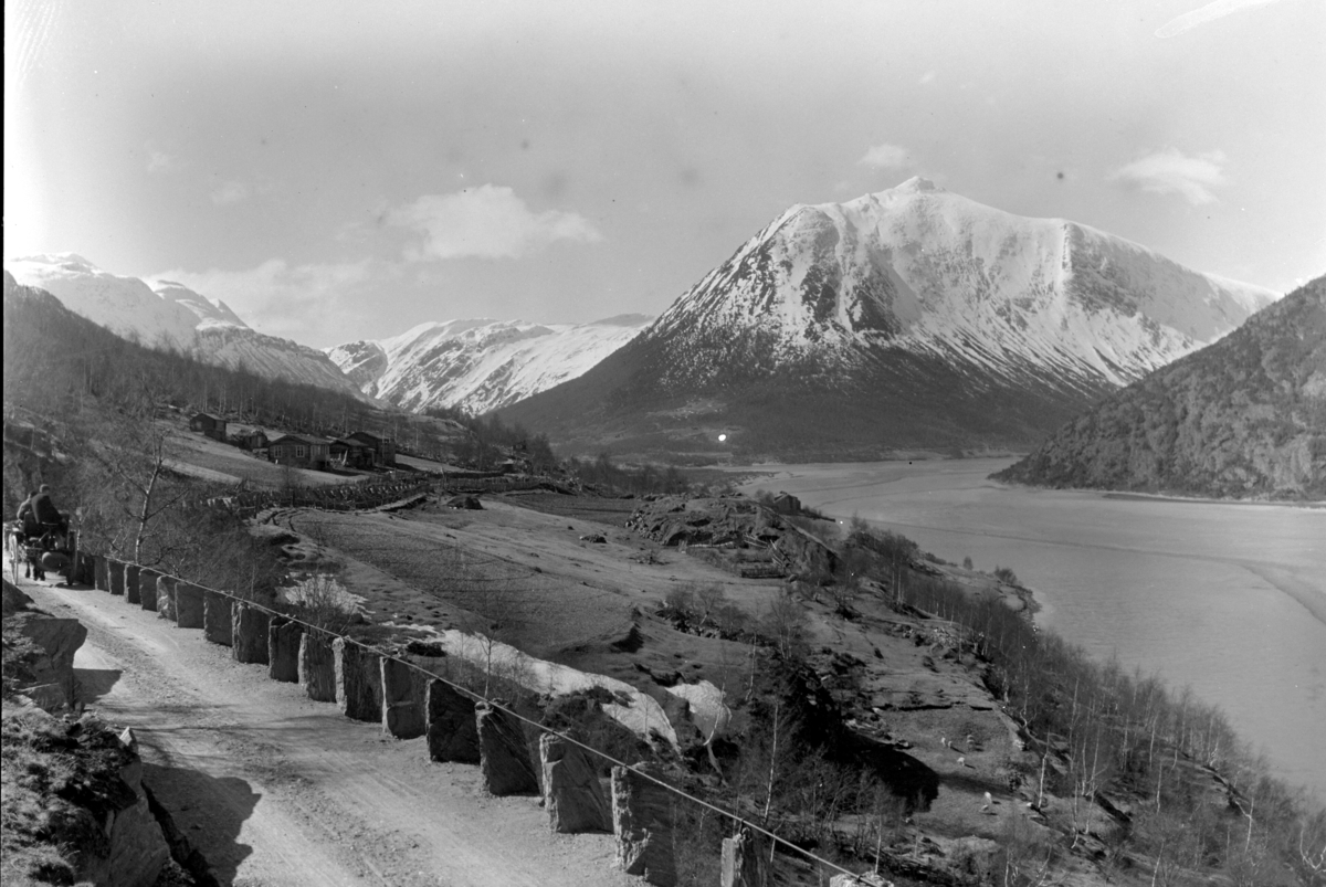 Ole Hansen Løken, UKJENT LANDSKAP, FJELL, VEG, STABBESTEINER, REKKVERK, HEST, HESTEKJØRETØY.