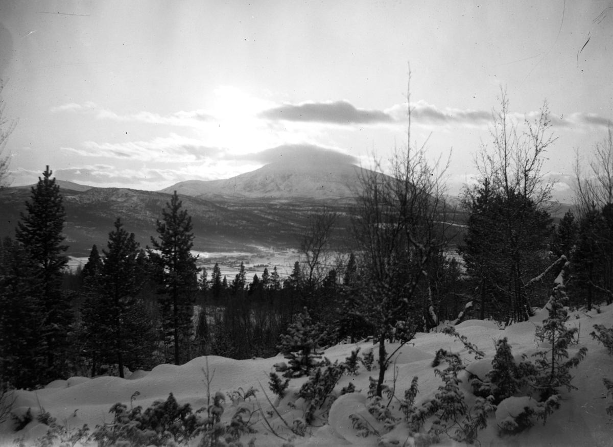 Johannes Larsen Alhaug, Fjellandskap, vinter. Utsikt sørover mot Tynset og Tronfjellet.
