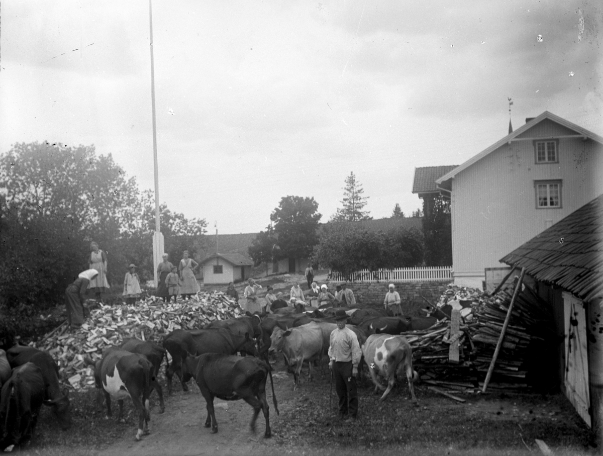 Kristian Heramb, Masse mennesker og kyr på en gårdsplass. Kuslipp, vedhaug.