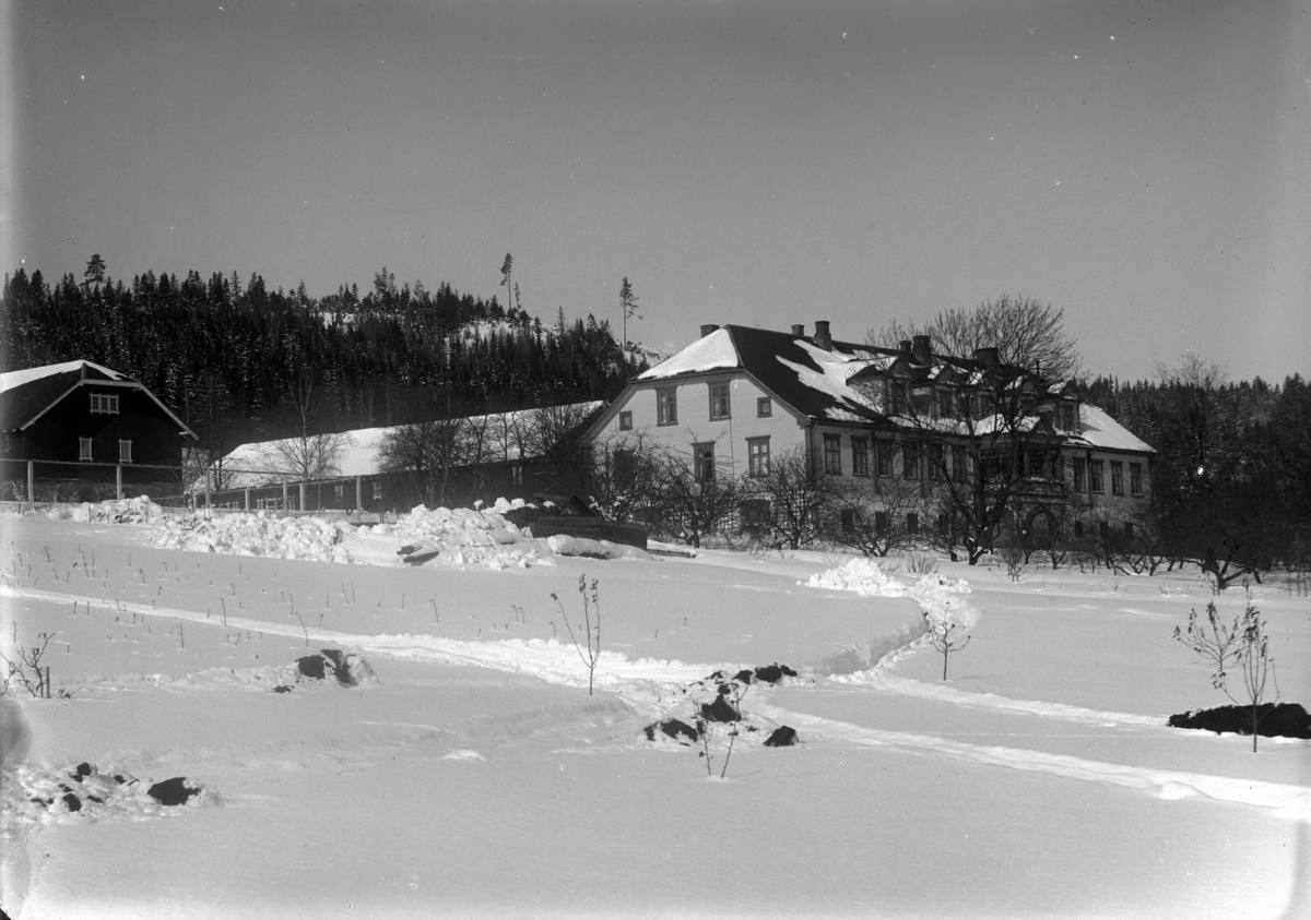 Martin Finborud, Grefsheim, Nes, Hedmark. Vinter.