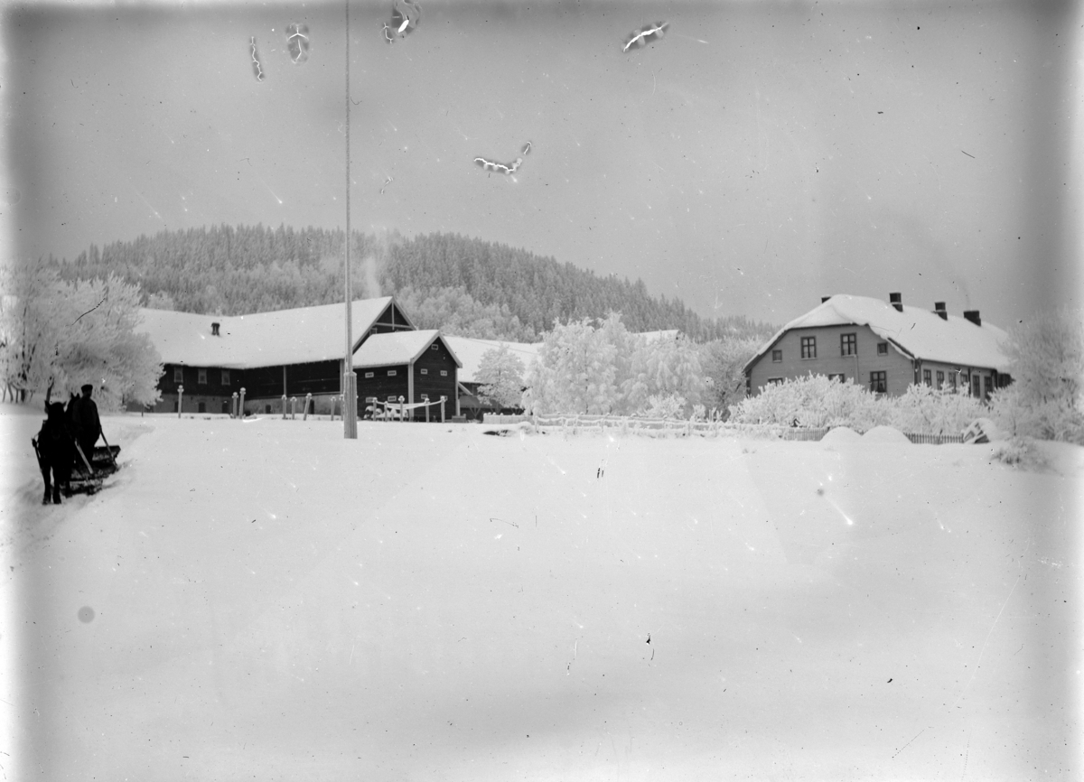 Martin Finborud, Vinter på Grefsheim, Nes, Hedmark. Hest og slede.