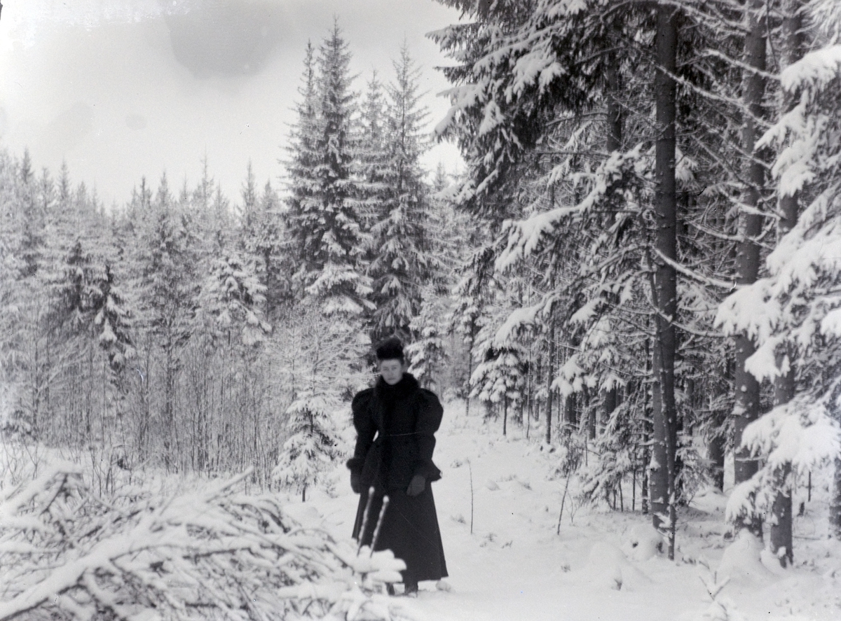 Martin Finborud, Vinter. Ukjent kvinne i skogen.