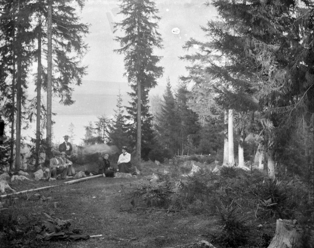 Martin Finborud, To menn og tre kvinner på tur i skogen. Mellbye?