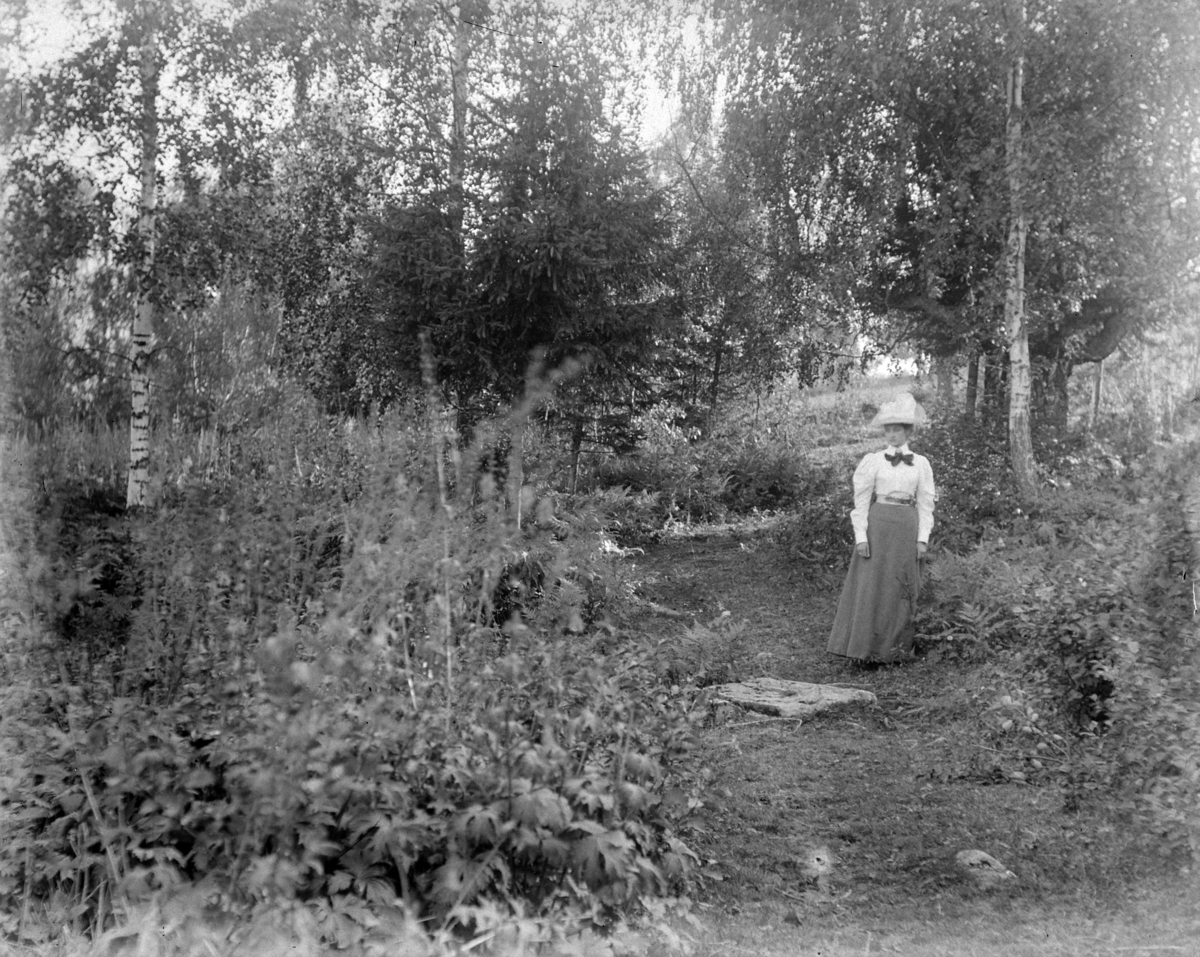 Martin Finborud, Lol Misen (f. Mellbye) i skogen.