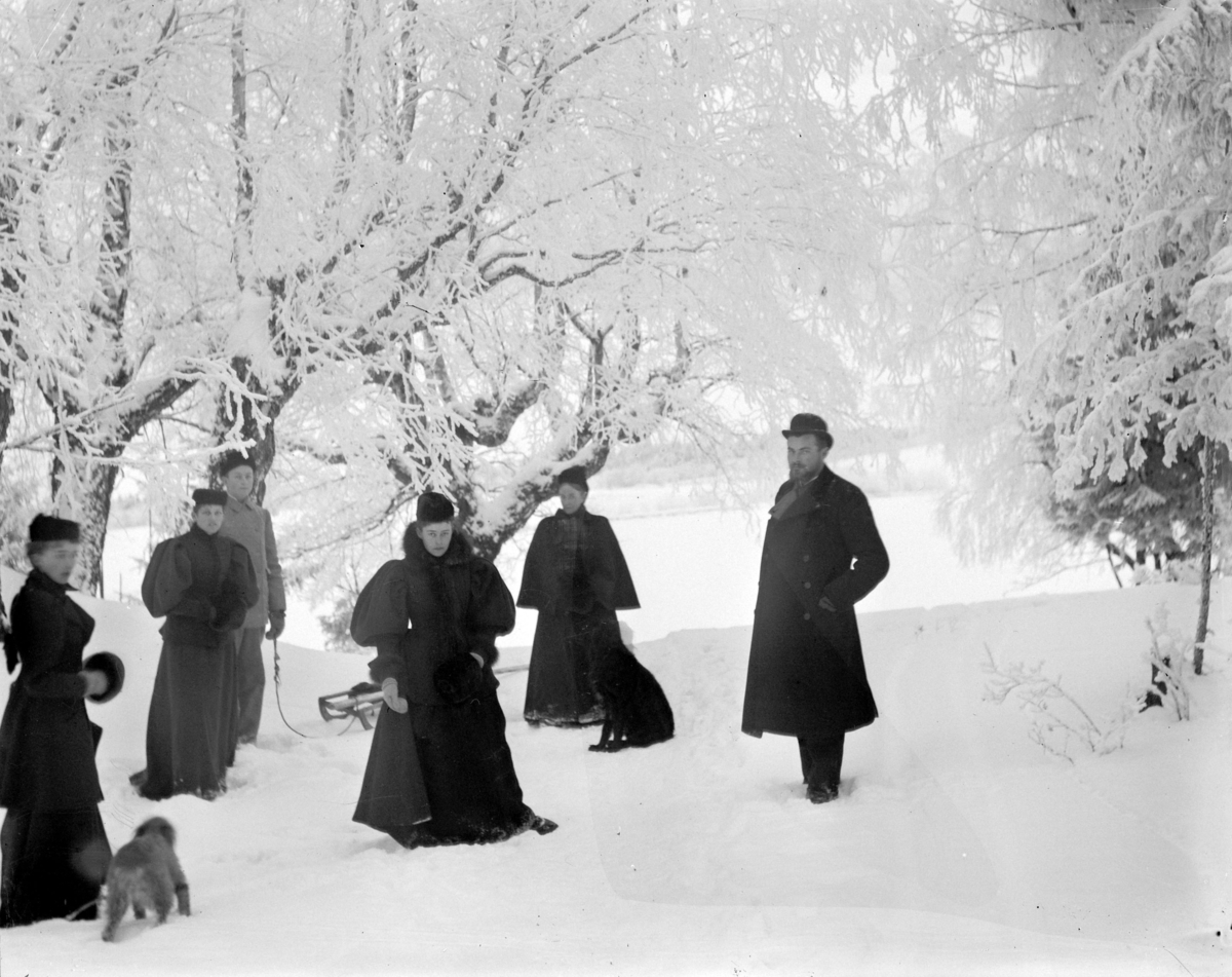 Martin Finborud, Vinter. Seks personer og en hund i en hage, en med en slede.