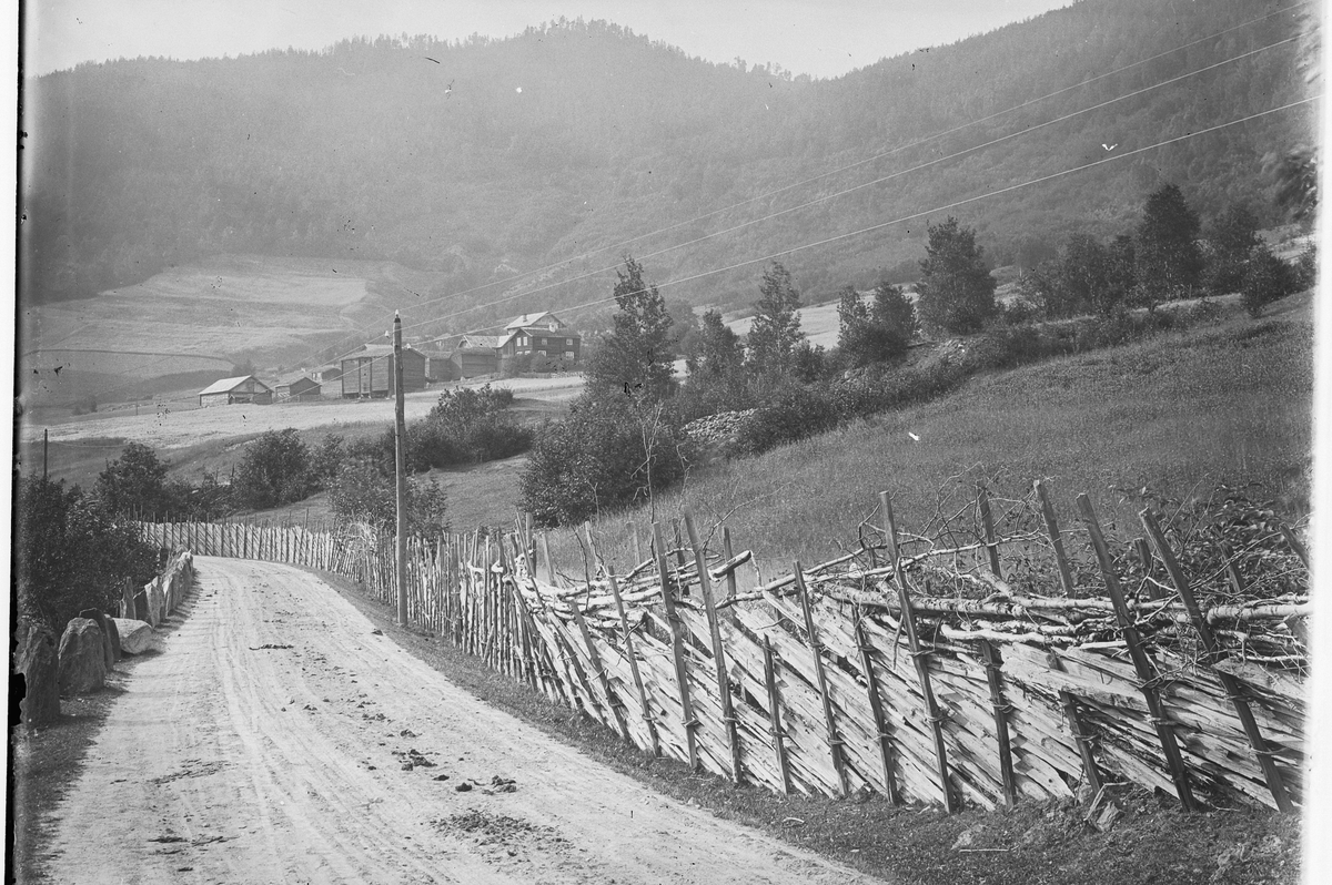 Hans Emil Erichsen, Sel i Gudbrandsdalen. Skigard og stabbesteiner. (Dale?).