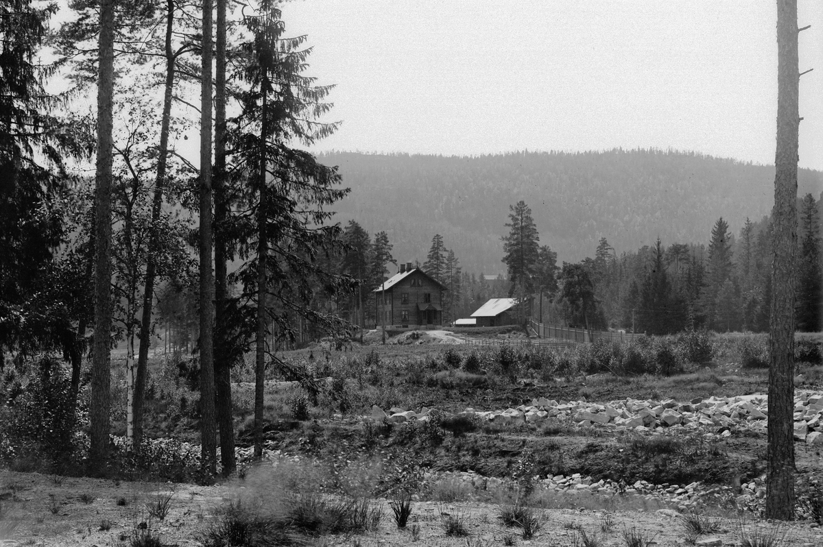 Hans Emil Erichsen, Hus i skogen. Ukjent sted.