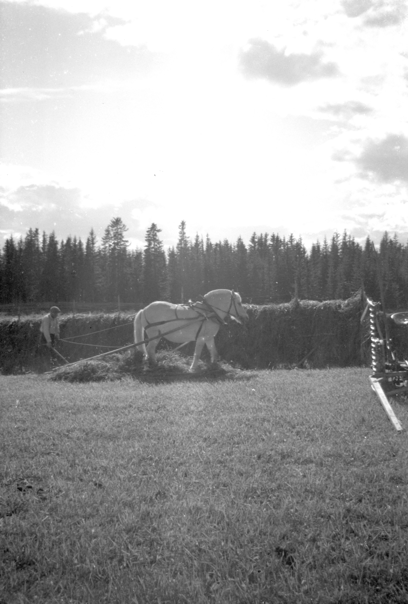 Håkon Prestkværn, Slåttonn, hest og høyrive, hesteredskap, høyhesje.
