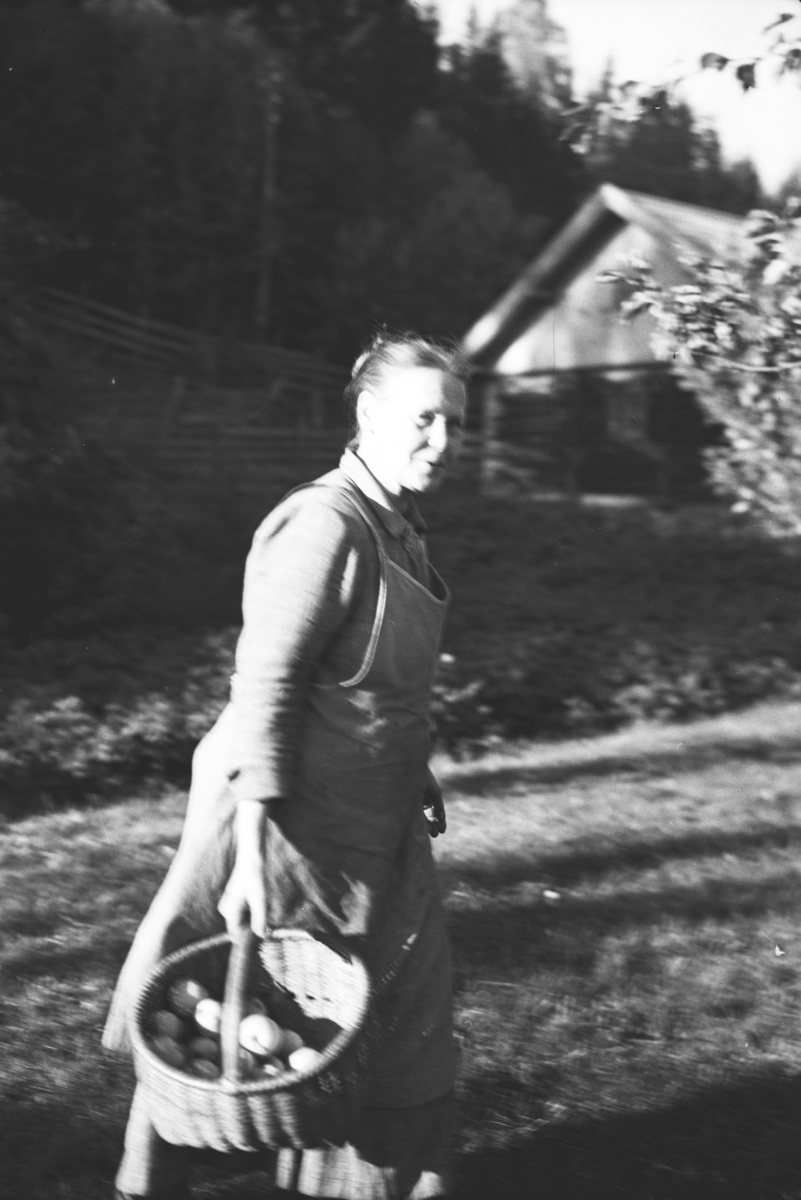Håkon Prestkværn, Ukjent kvinne med kurv med epler.