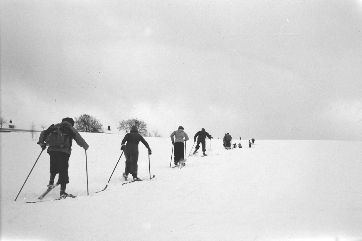 Håkon Prestkværn, Skiløpere