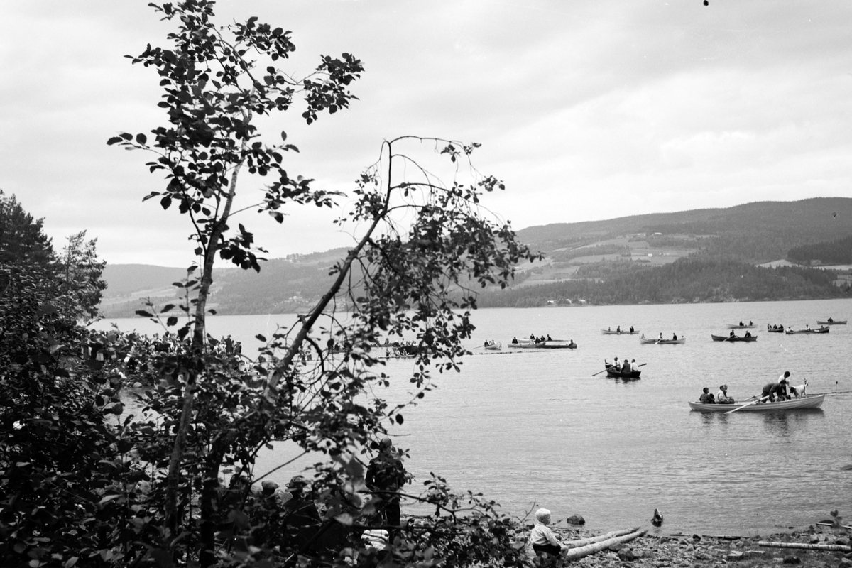 Håkon Prestkværn, Mjøsa ved Moelv, svømmekonkurranse, robåter. Se også 0412-16821