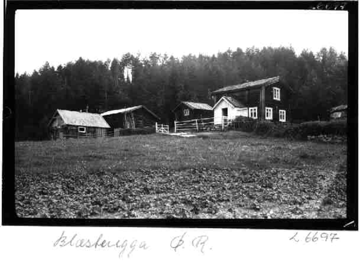 Per K. Lien, Blæsteregga, Øvre Rendal, Rendalen