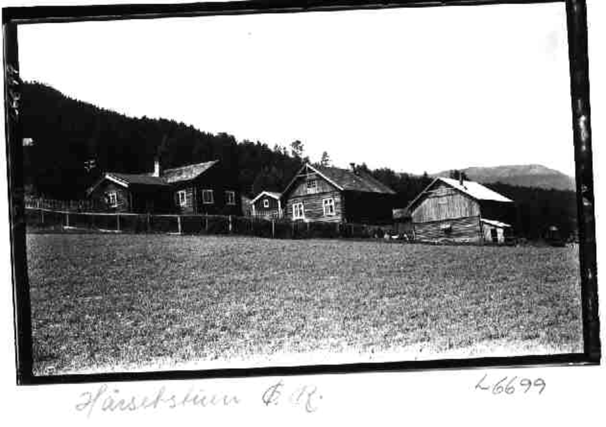 Per K. Lien, Hårsetstuen, Øvre Rendal, Rendalen.