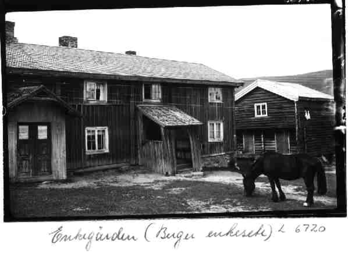 Per K. Lien, Enkegården, Berger enkesete, Rendalen