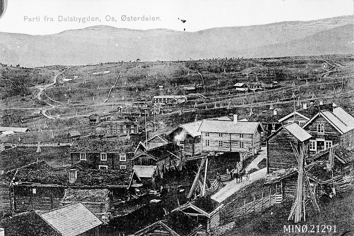 Iv. Olsen, Parti fra Dalsbygden, Os i Østerdalen