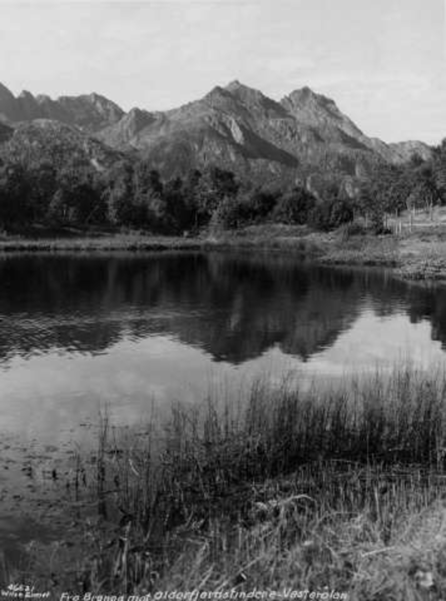 Anders Beer Wilse, -5538
