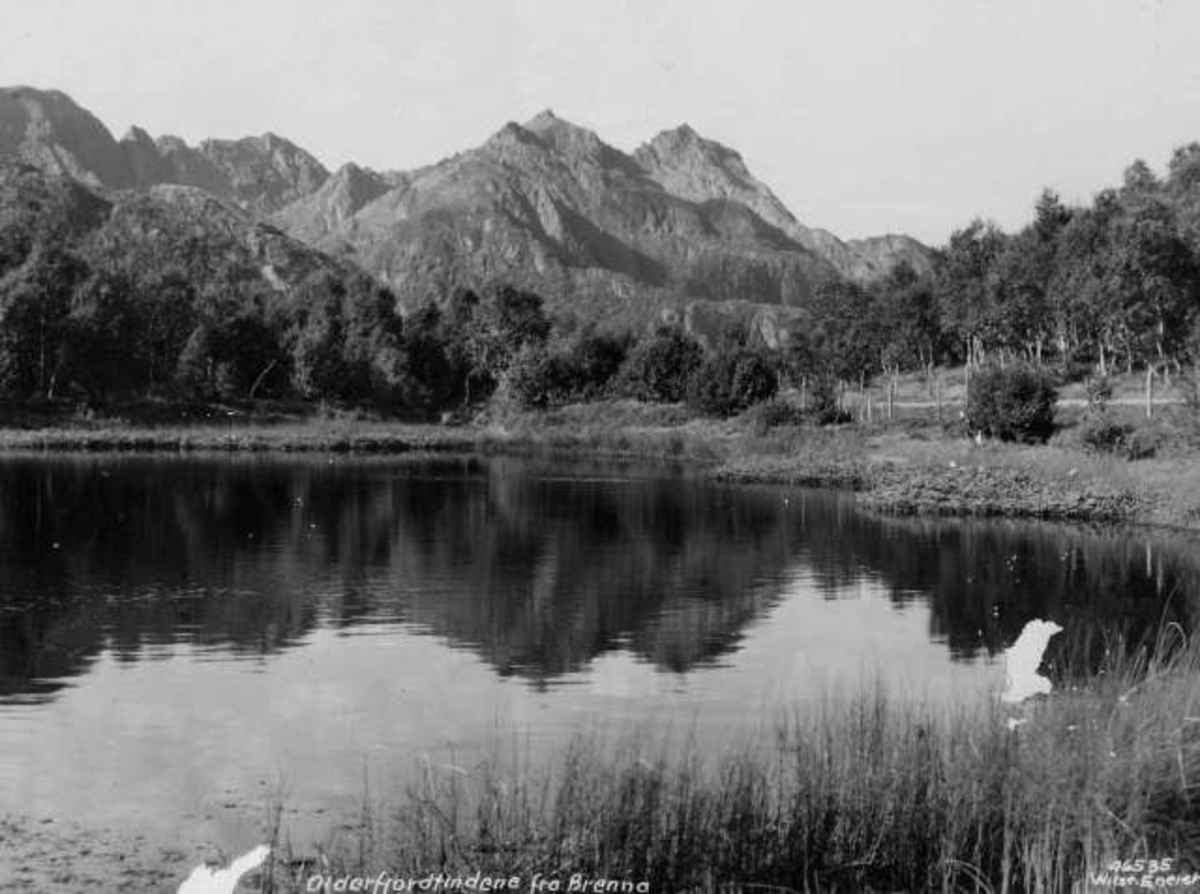 Anders Beer Wilse, -5542