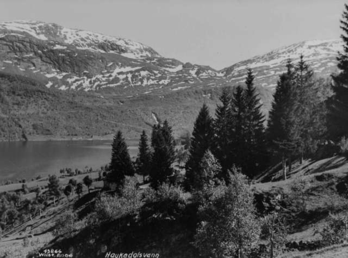 Anders Beer Wilse, -5621