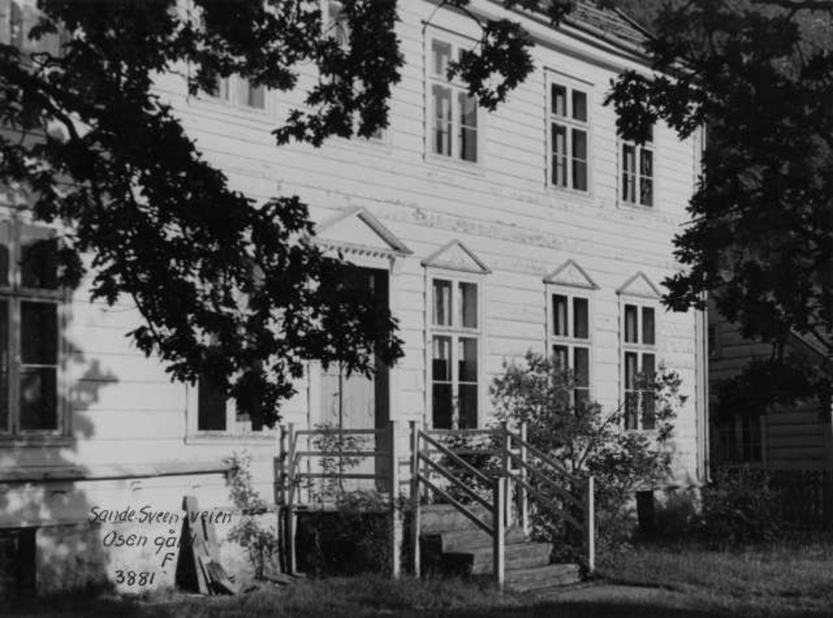 Anders Beer Wilse, -5632