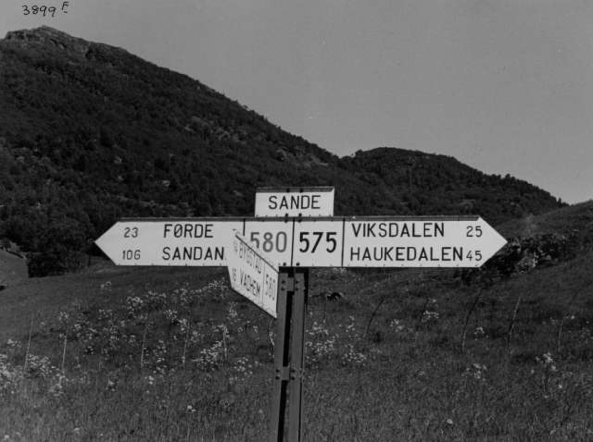 Anders Beer Wilse, -5636