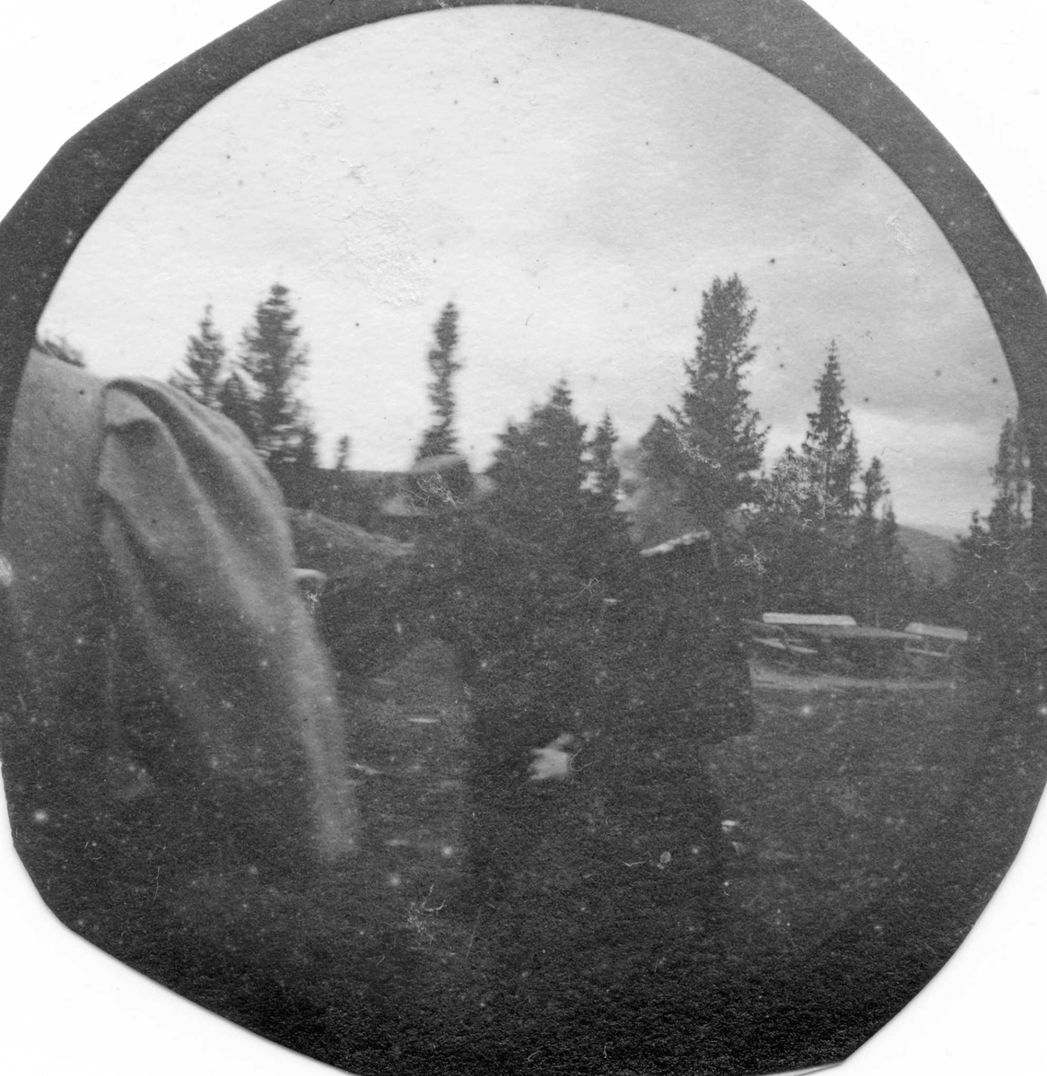 Fredrik Carl Mülertz Størmer, Olga Schøll (Schiøll?) i skogen ved serveringssted, Golå, Sør-Fron.