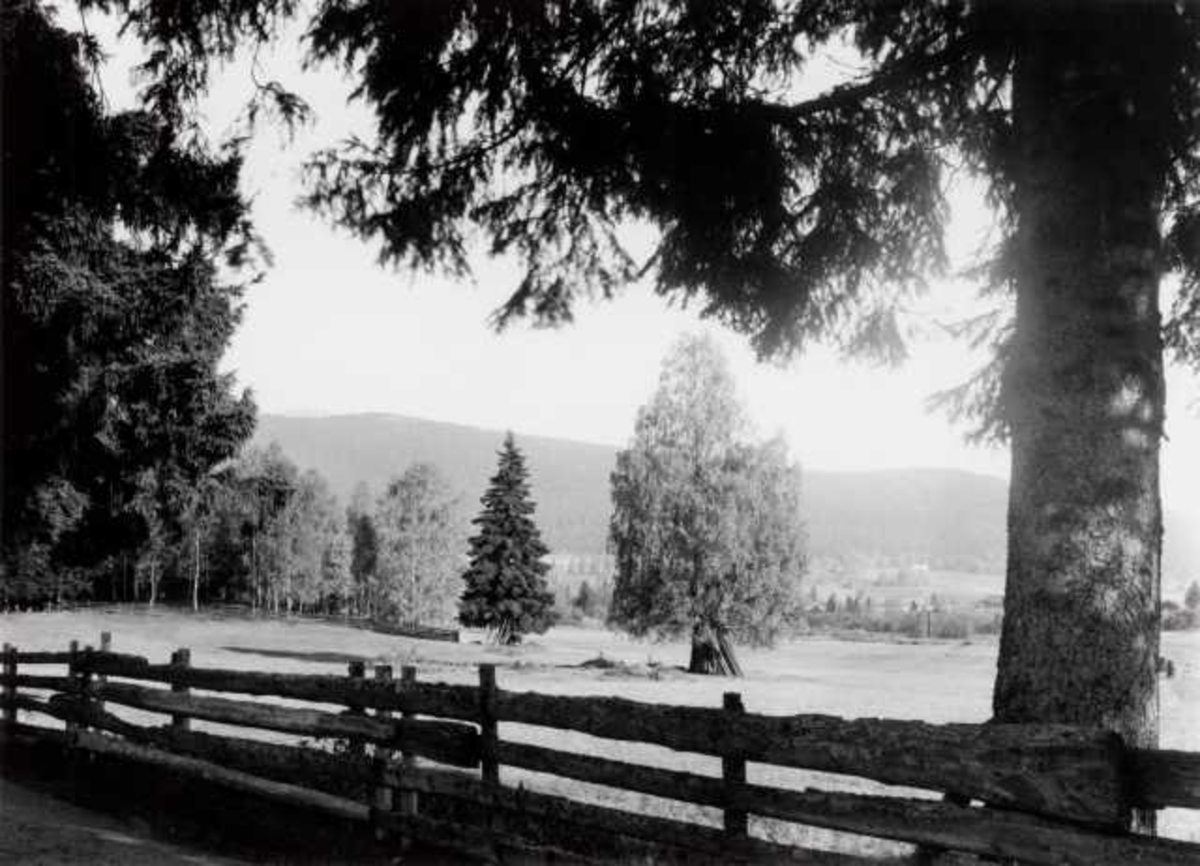 Hermann Christian Neupert, Sørkedalsveien, Oslo, 1909. Landskap med gjerde. Skog.