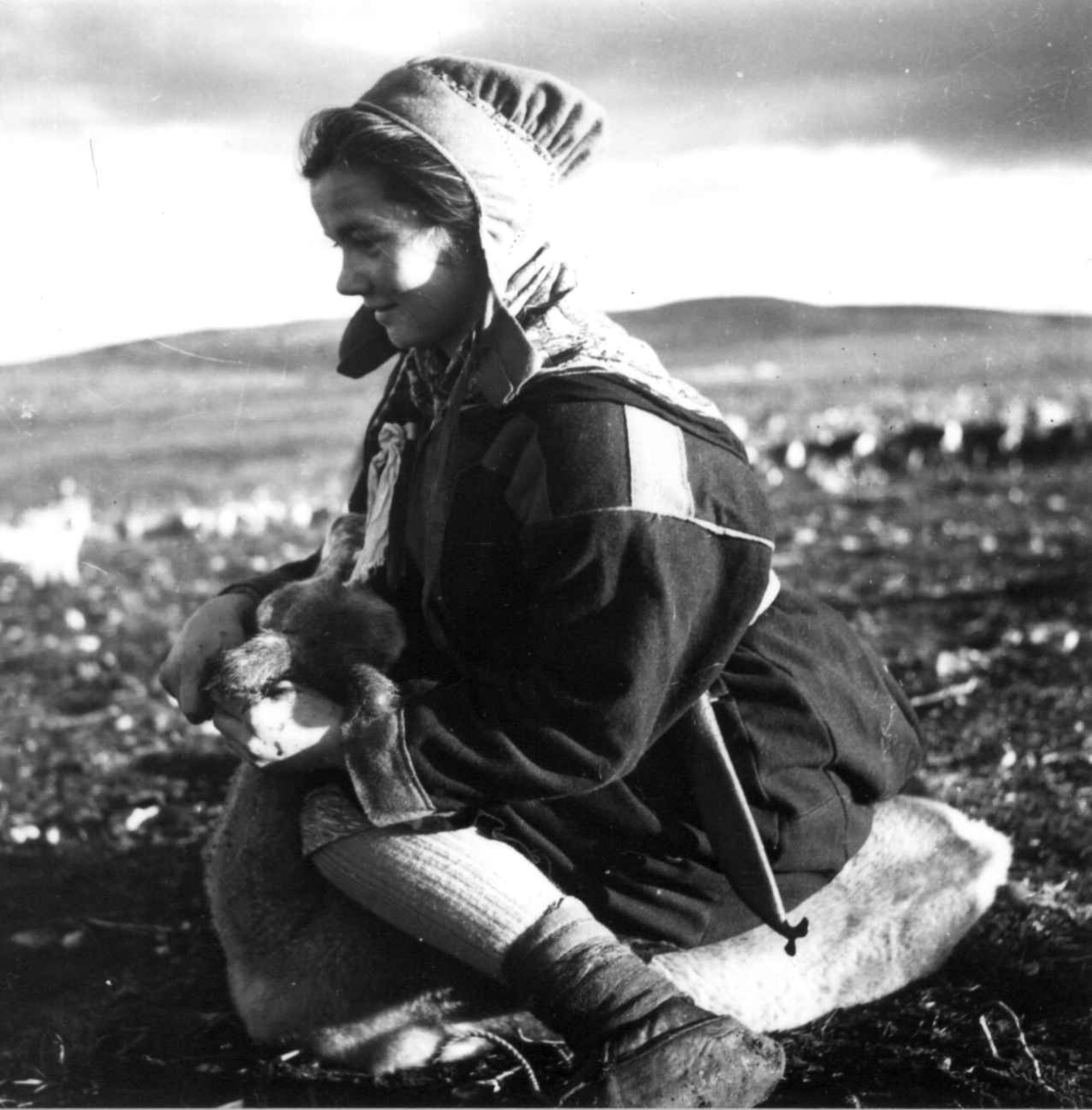 Virginia Raymond Davidson, Reindriftskurs. Jente lærer å øremerke reinsdyr. Ytre Billefjord 1959.