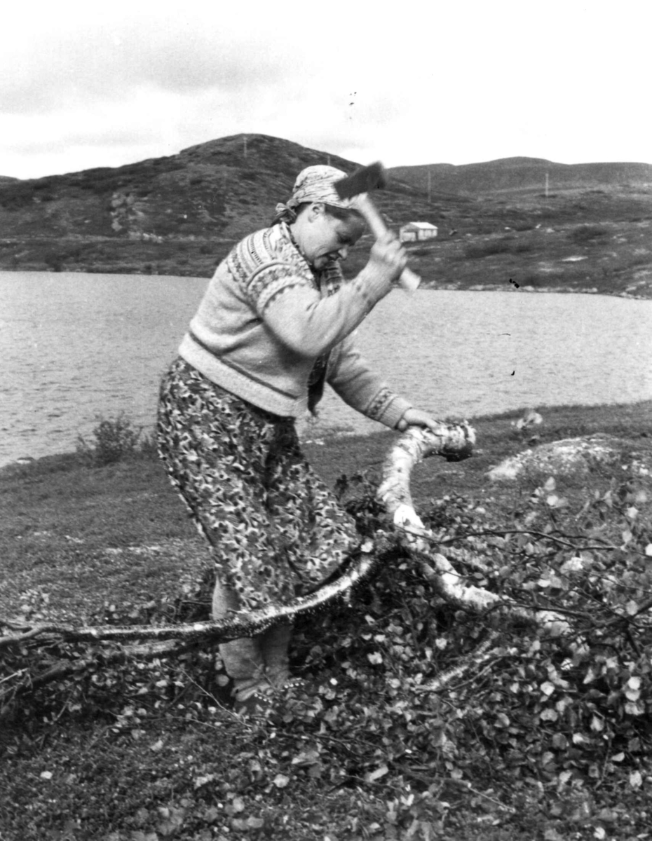 Virginia Raymond Davidson, Ellen Marie Anti hugger småved, Ytre Billefjord 1959.