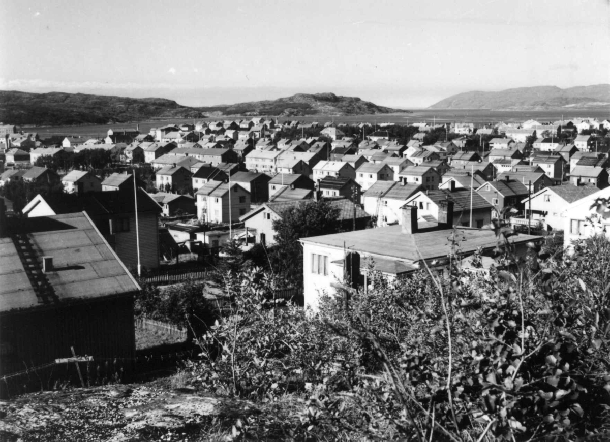 Virginia Raymond Davidson, Kirkenes