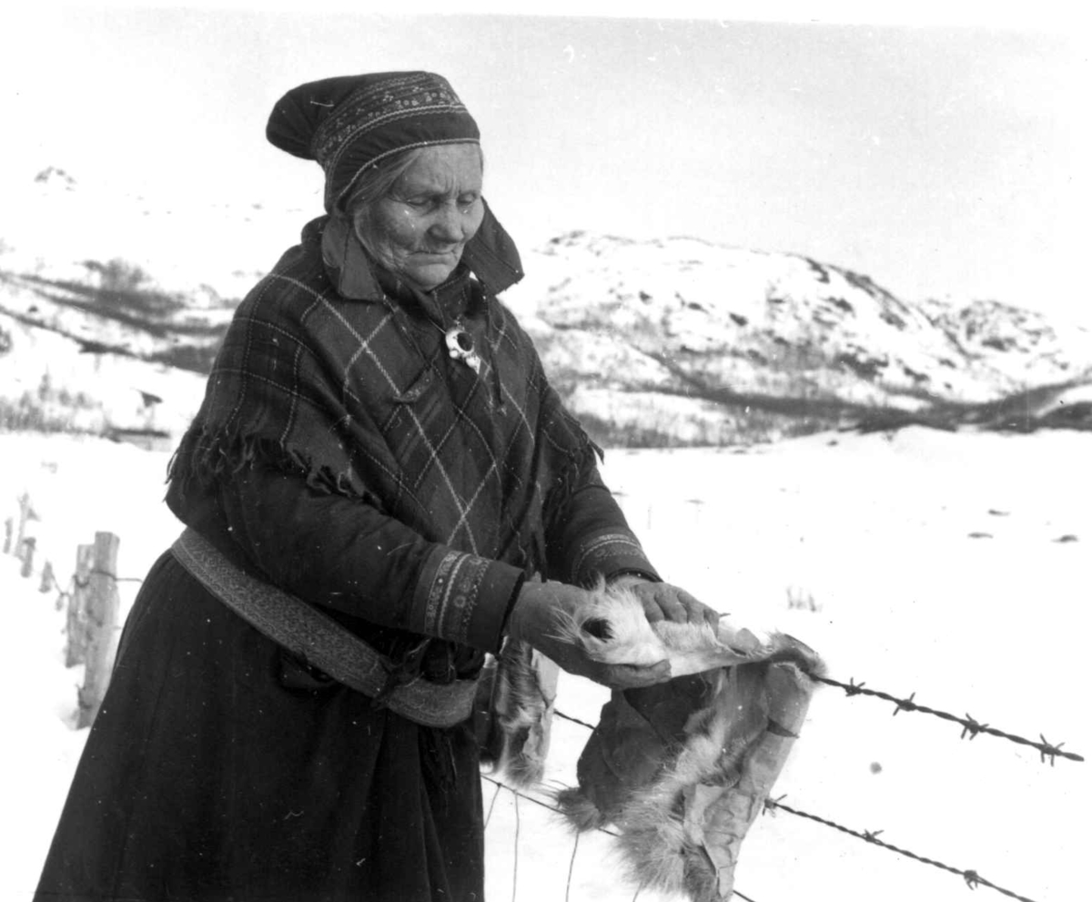 Virginia Raymond Davidson, Ellen Persen Louso henger skinn til skaller til tørk. Altenes 1961.