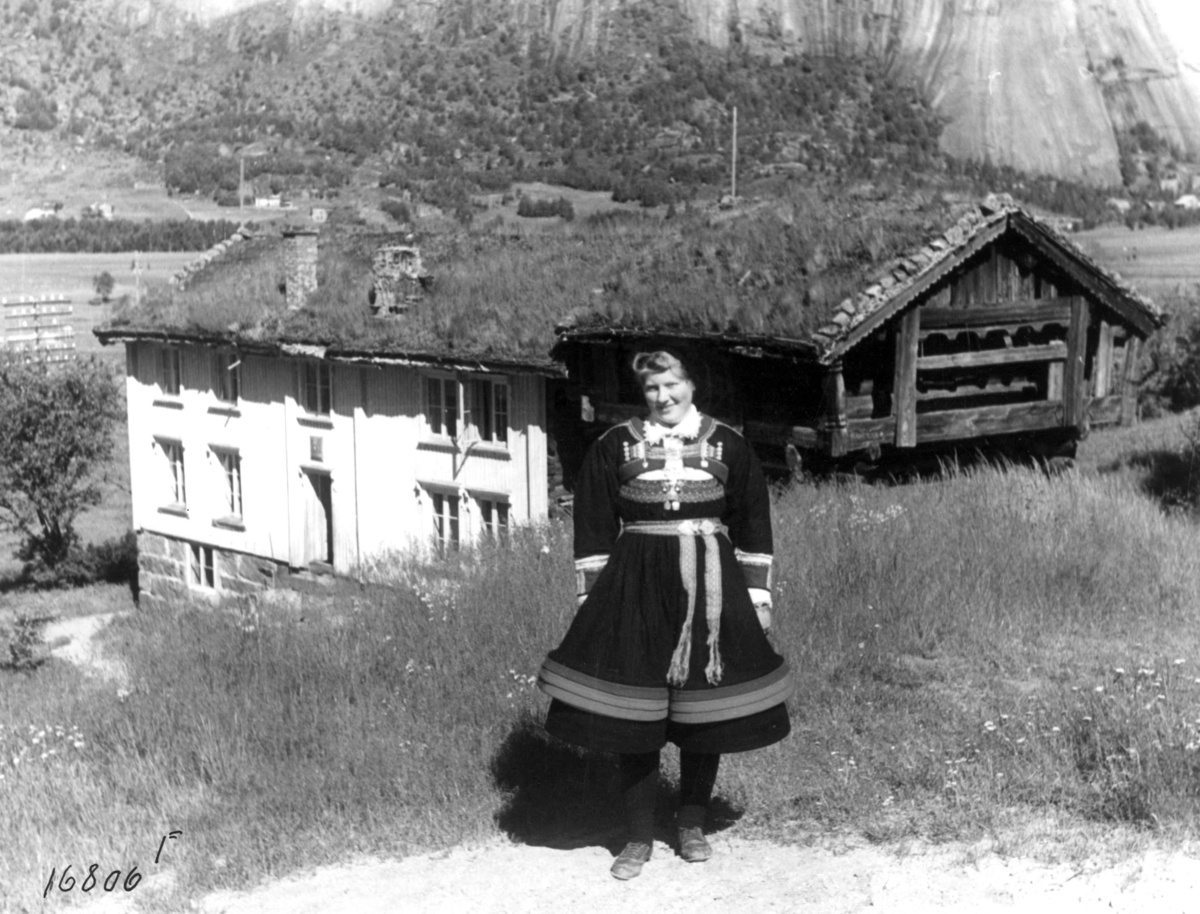 Anders Beer Wilse, Valle 1, Hus og loft