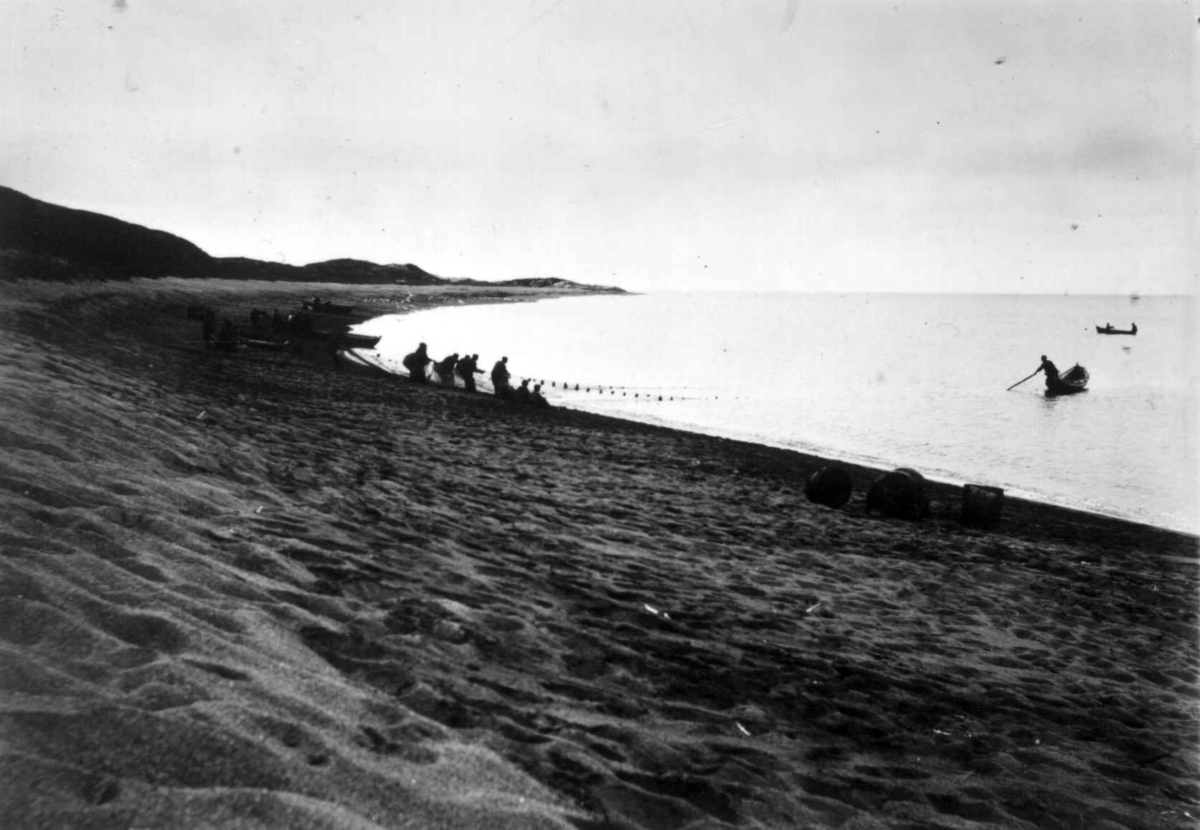 Ellisif Rannveig Wessel, Sildefiske, ved Grense Jakobselv, Sør-Varanger, Finnmark, antatt 1900-10. Noten trekkes av russere og nordmenn.