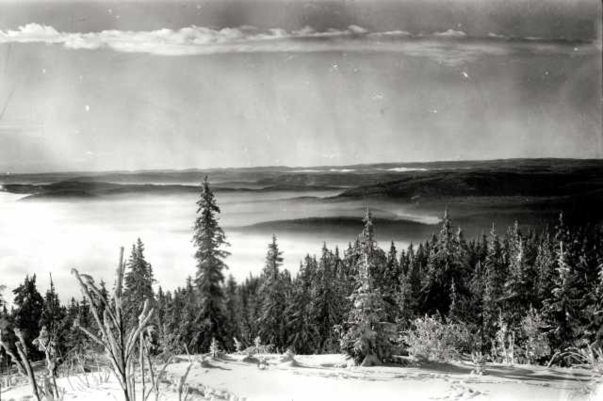 Hermann Christian Neupert, Nordmarka, Oslo. Utsikt over vinterlandskap.
