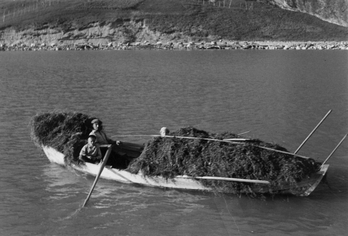 Anders Beer Wilse, Høytransport