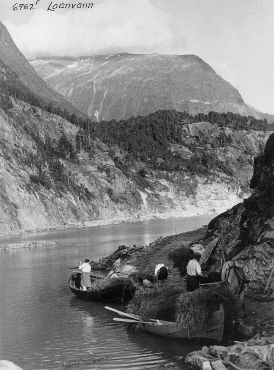 Anders Beer Wilse, Høytransport