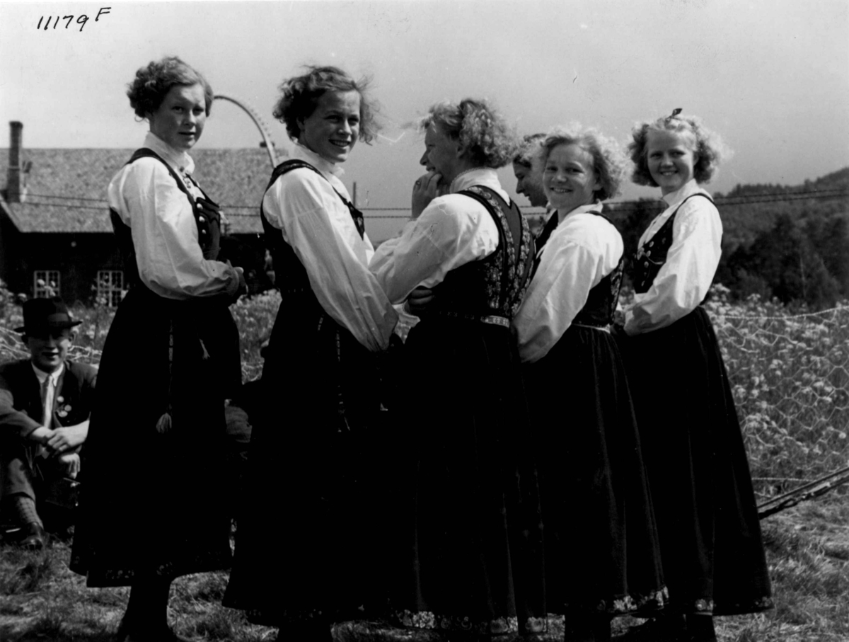 Anders Beer Wilse, Kvinnedrakter, Telemark